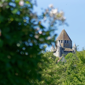 Roseraie de Provins