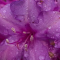  DSC5297