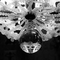 DSC08738
