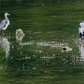 DSC03744