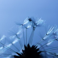 DSC04324