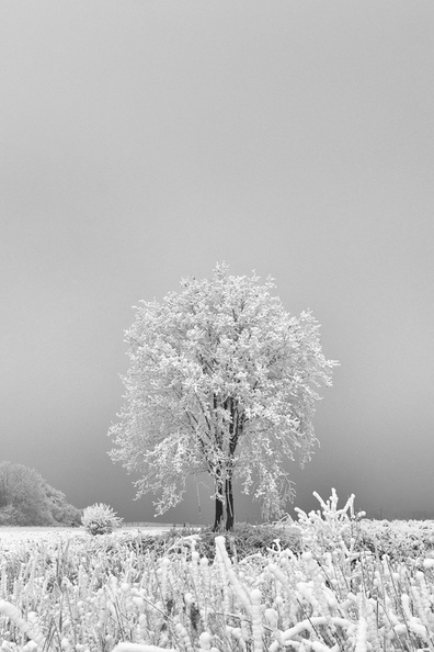 DSC1612-Modifier - _DSC1612-Modifier.jpg _DSC1612-Modifier.jpg