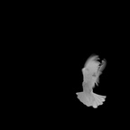  DSC0605