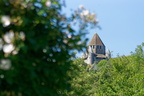 Roseraie de Provins
