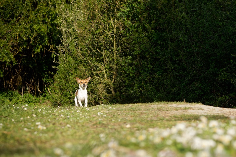 DSC04180_1280.jpg