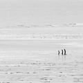 promeneurs
